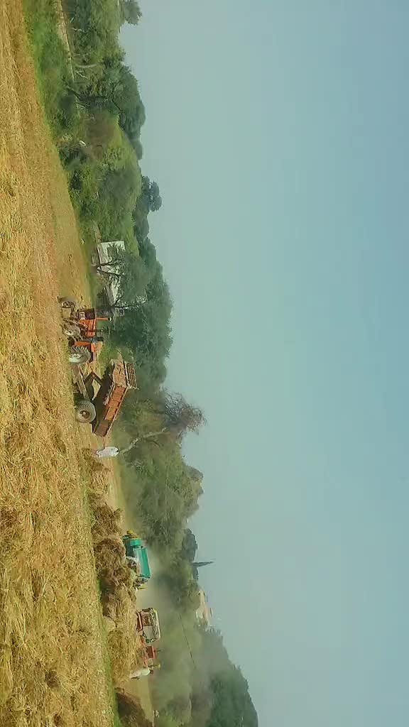@qamaraziz18