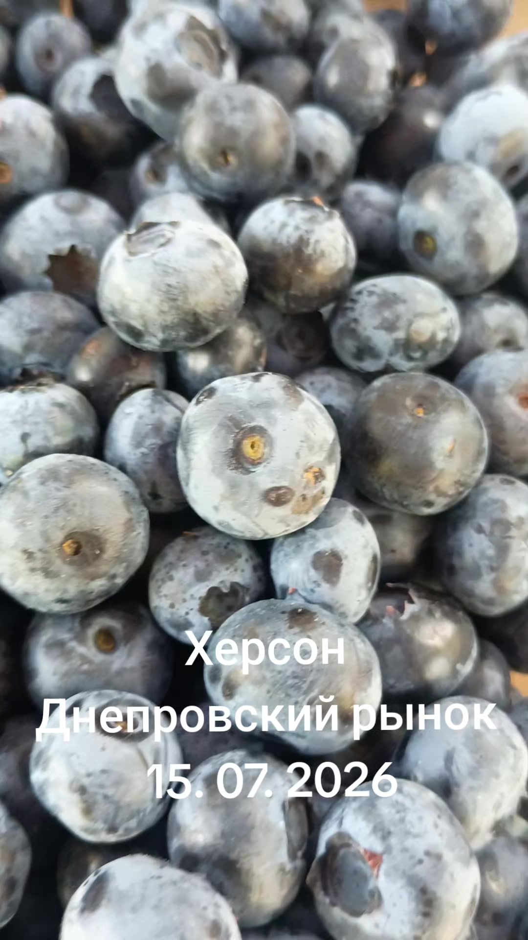 @IOSIF99999