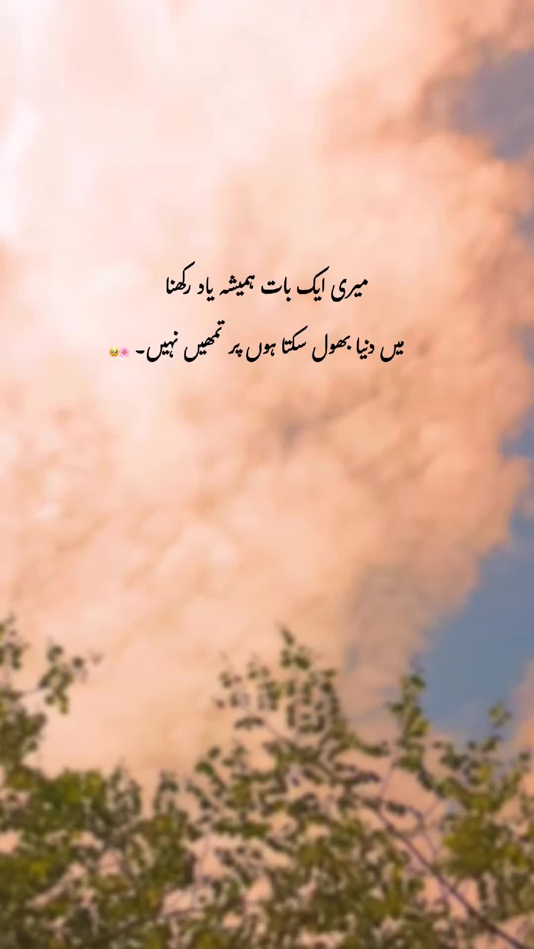 @𓆩♡𓆪