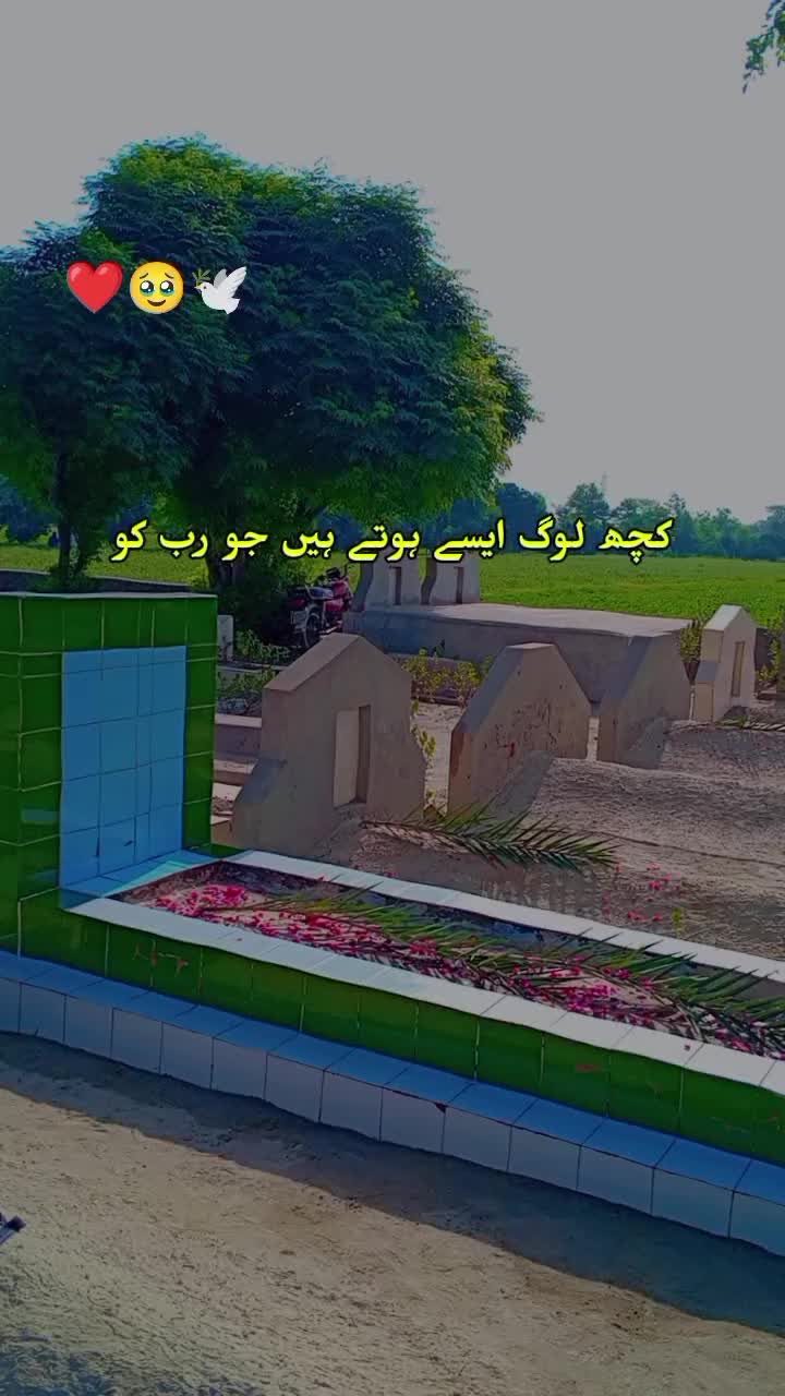 @sanaashraf