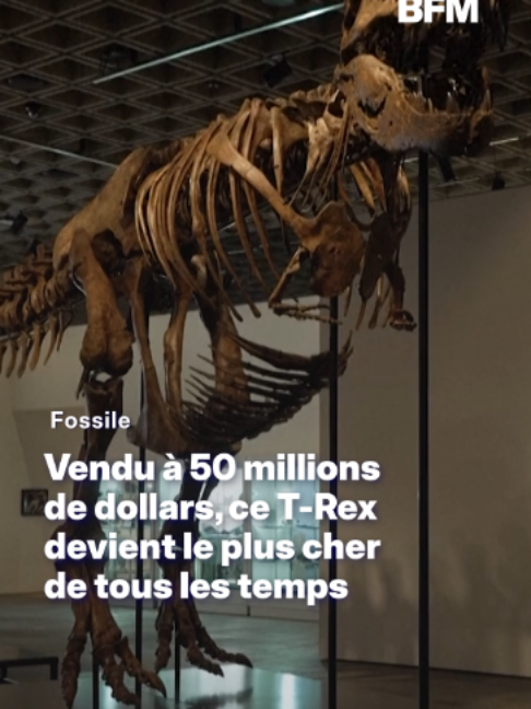 @BFMTV