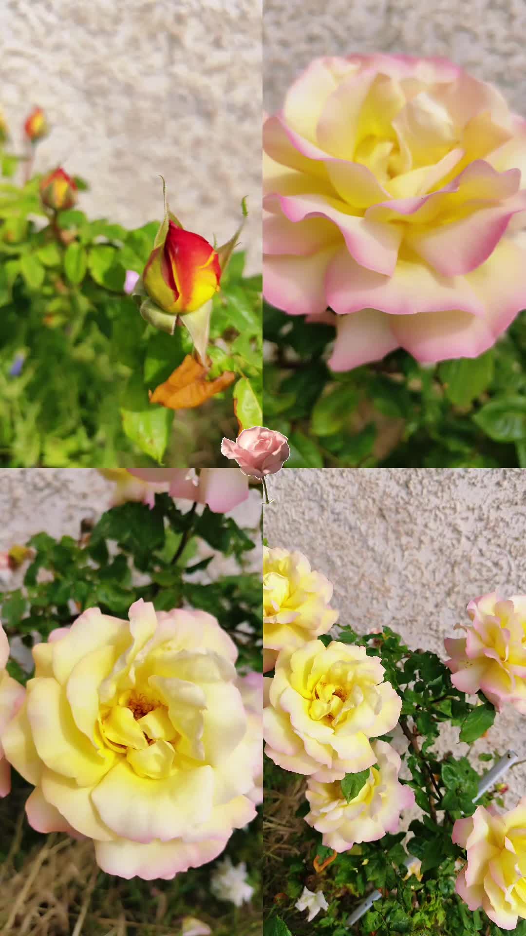 @Mag2provence