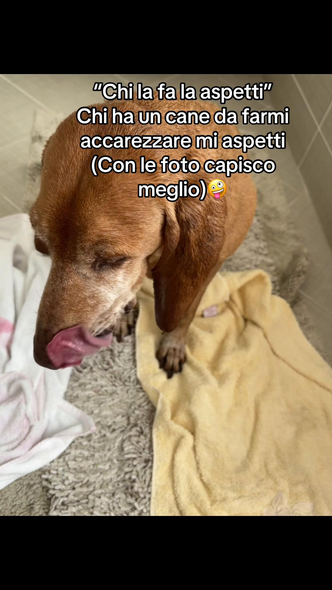 @lavirgy001