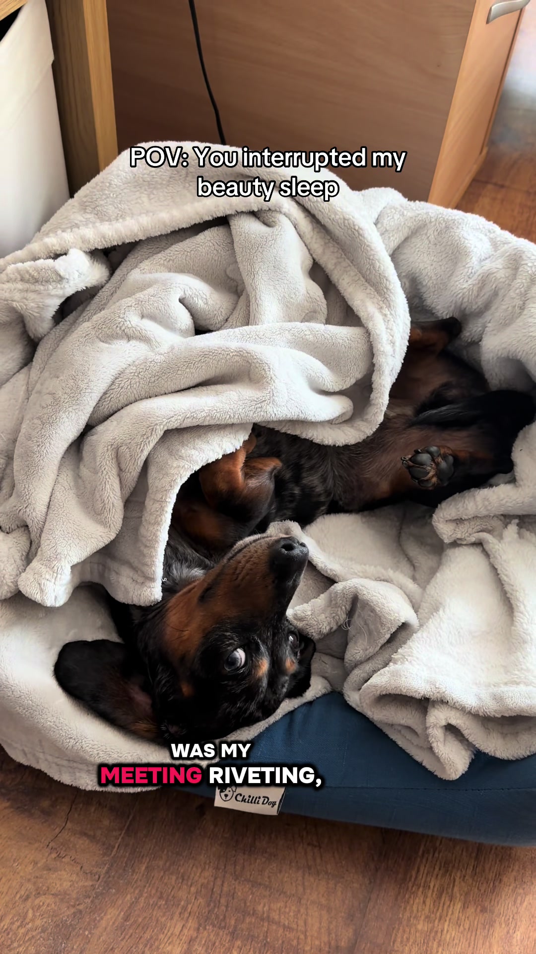 @dibblydobbly_dax