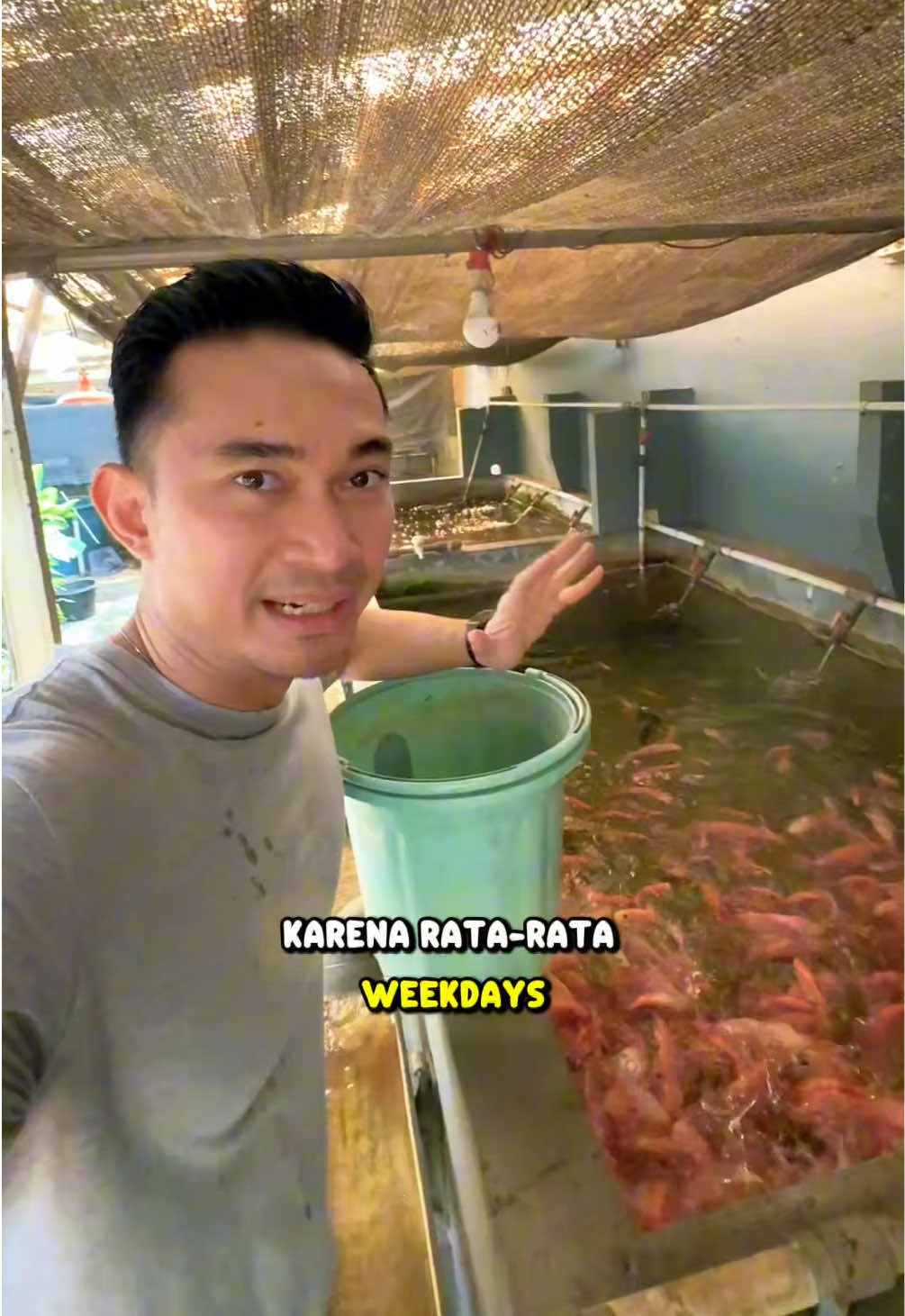 @NilaKu ID