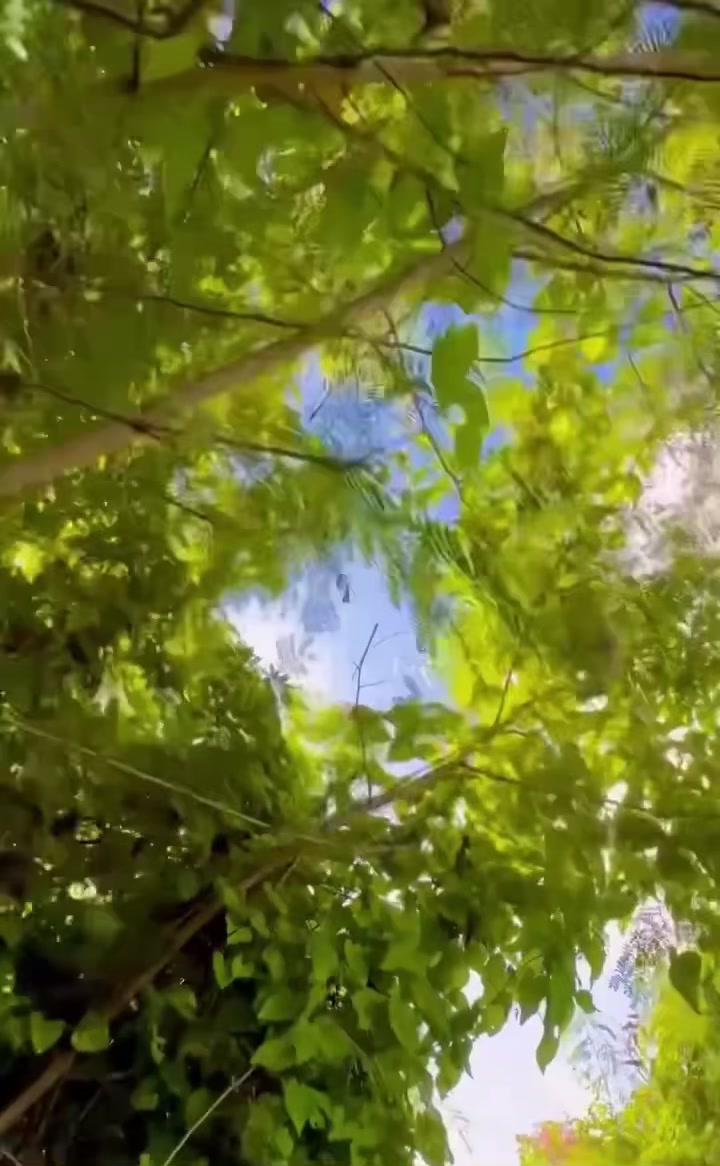 @xshawno