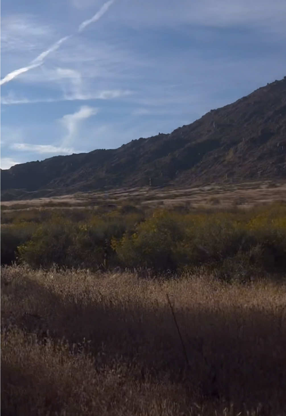 @🦾🕷️