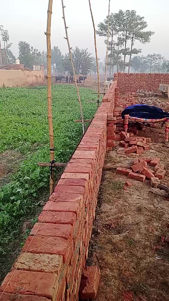 @Sahfaq Ali