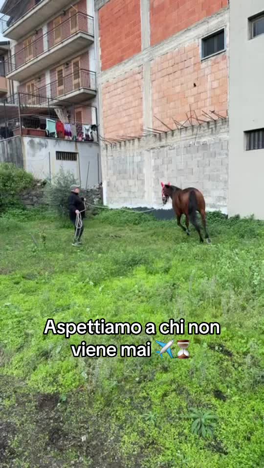 @Agatino Diolosà