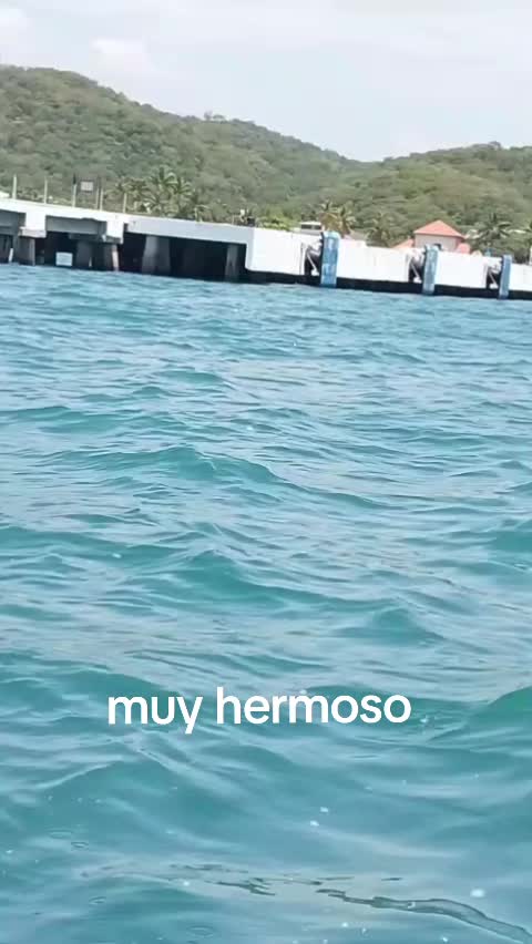 @Gregorio Sánchez