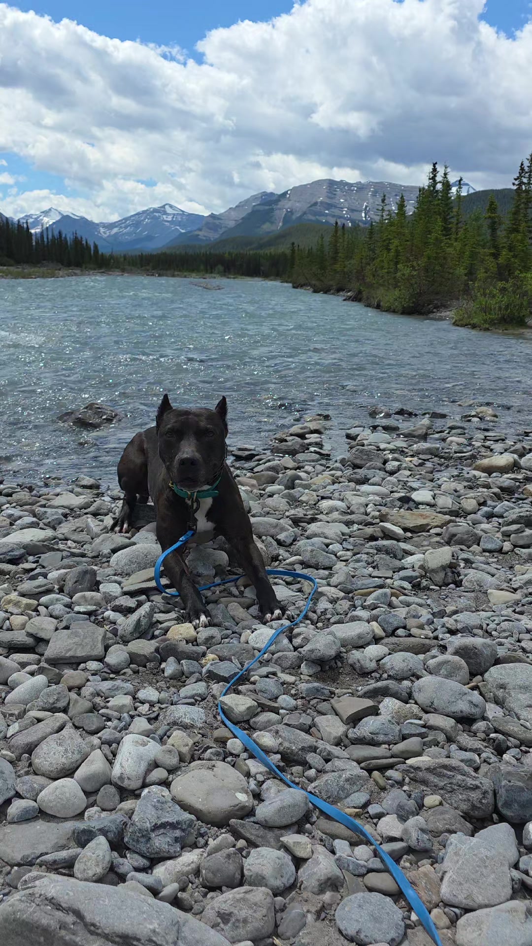 @RaisingHell.Hounds🇨🇦
