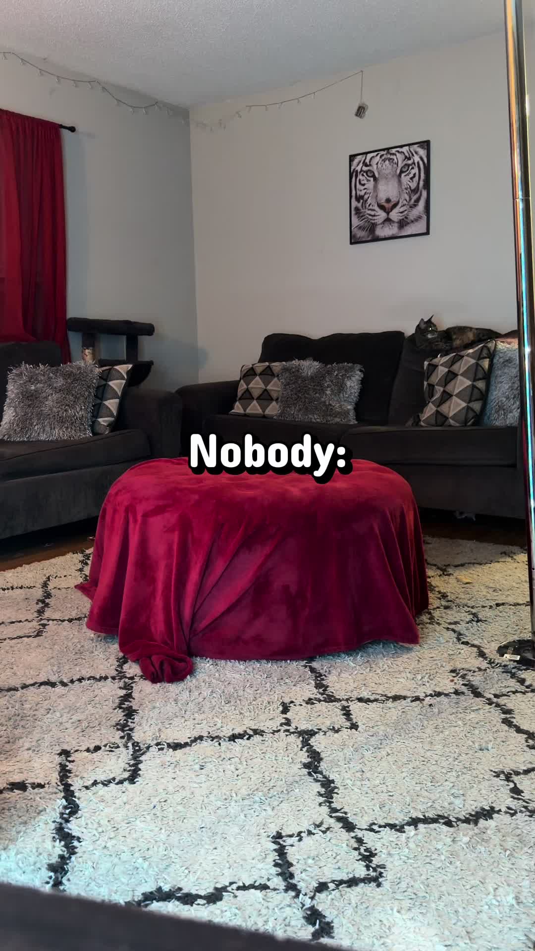 @NeyllFunds
