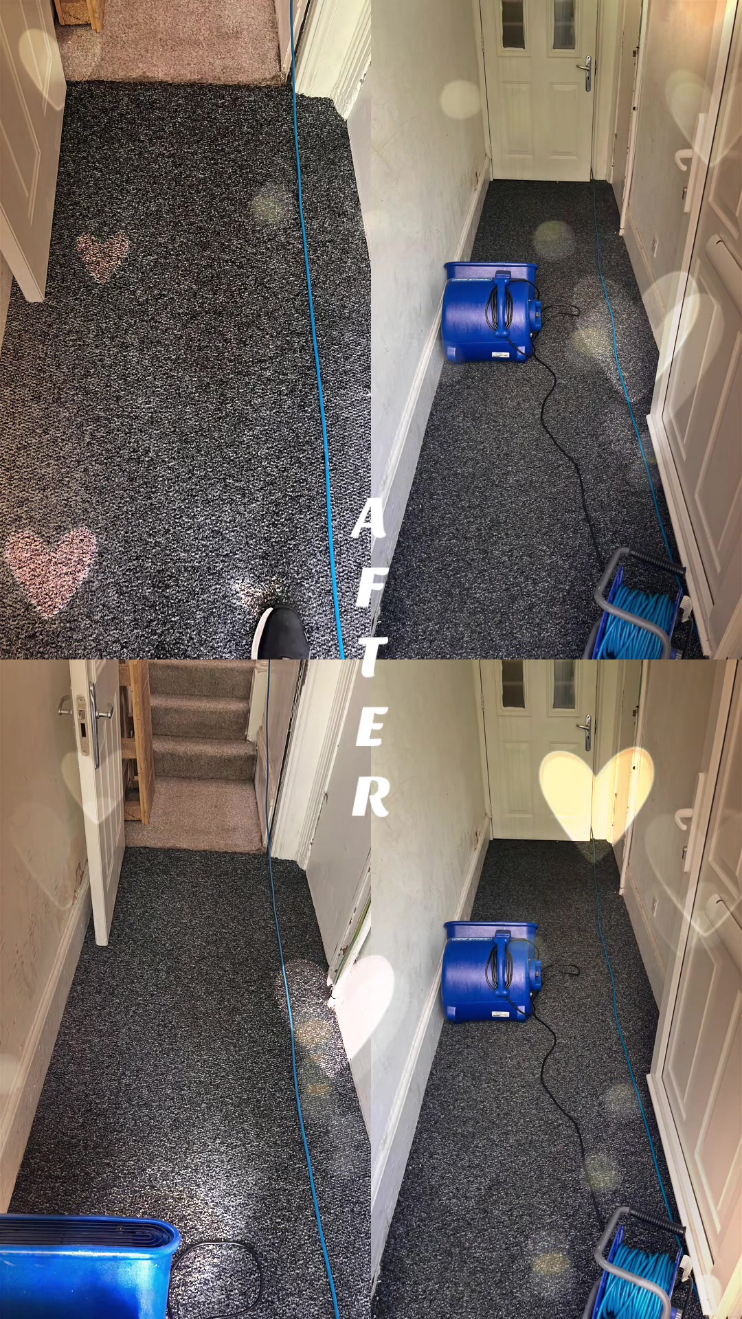 @Primeguard Carpet Care
