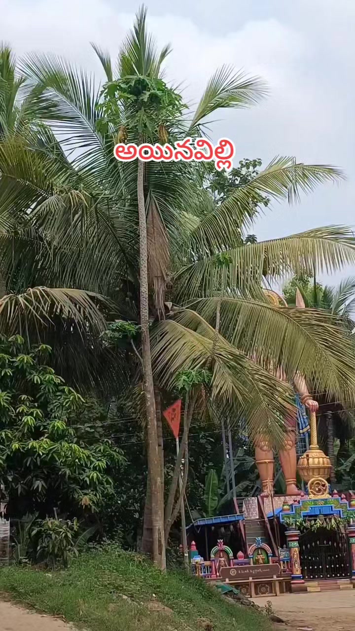 @🆁︎🅰︎🅼︎🆄︎బట్టెలంక కుర్రోడు