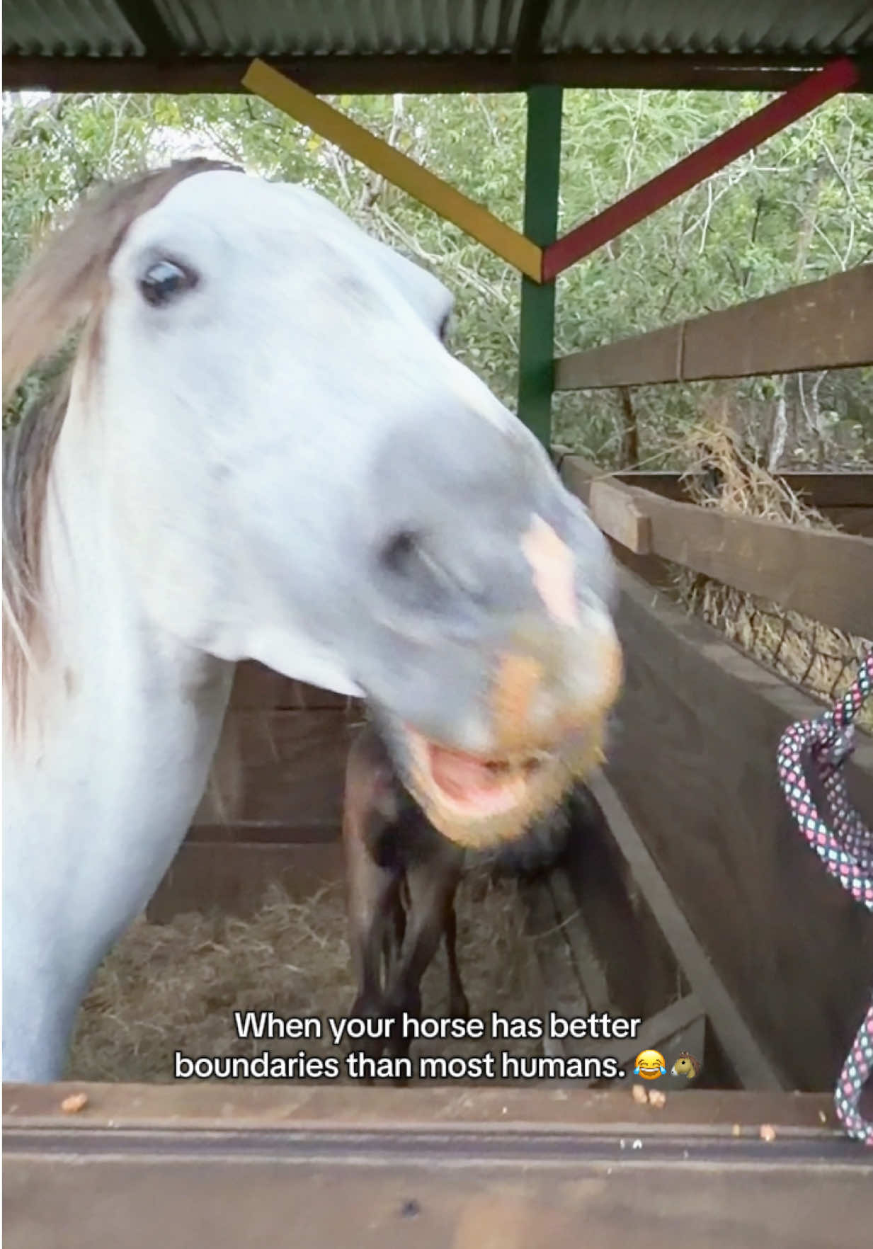 @roots_riding_stables