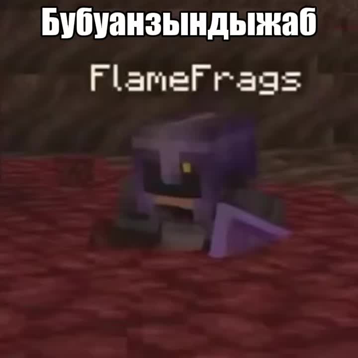 @|  彡 .   shveps !!