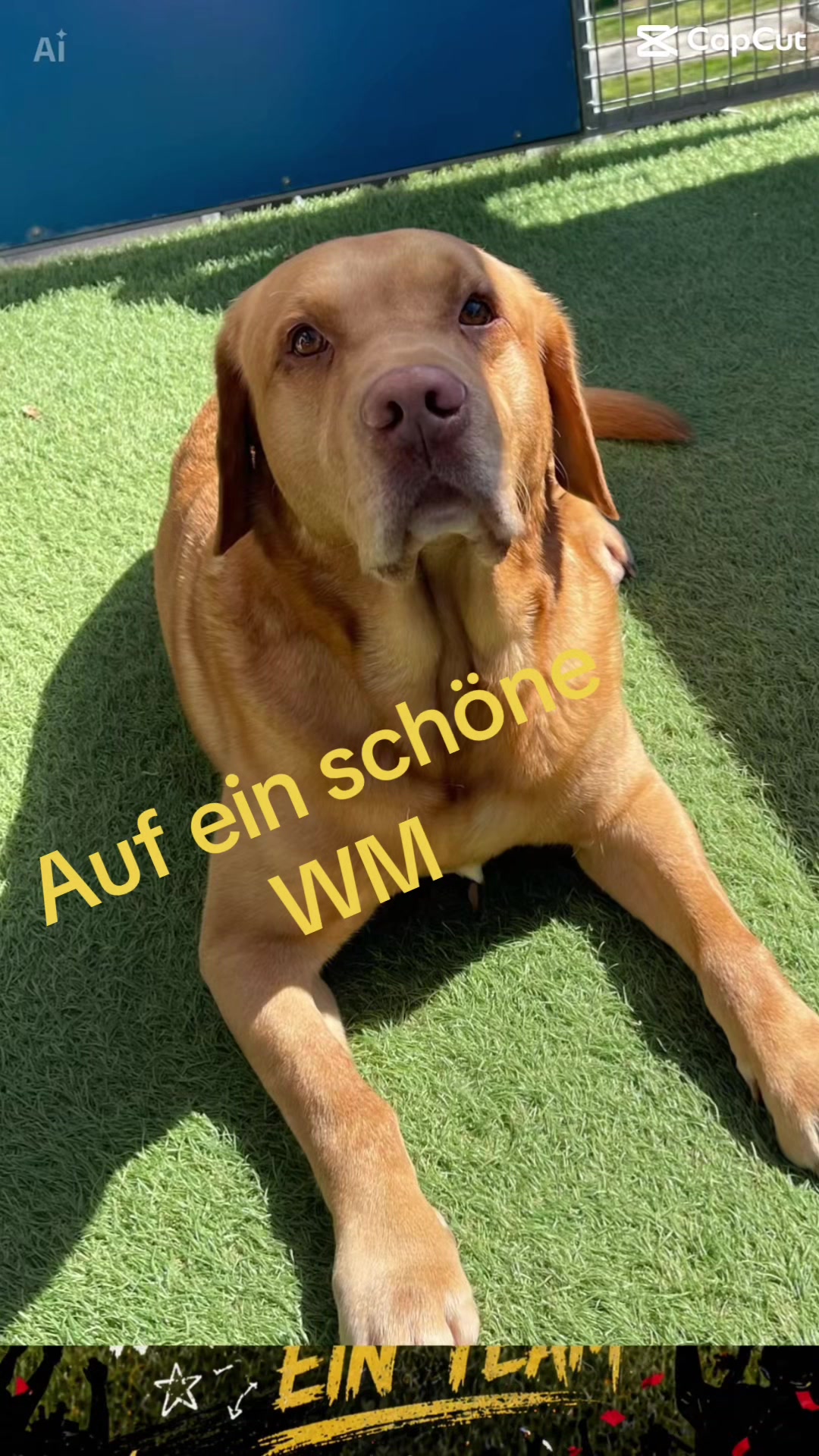 @georg27111