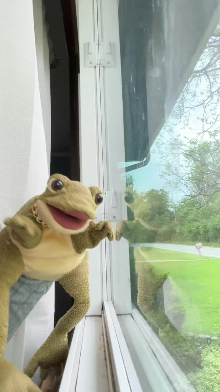 @Freddy_theFreakyFrog