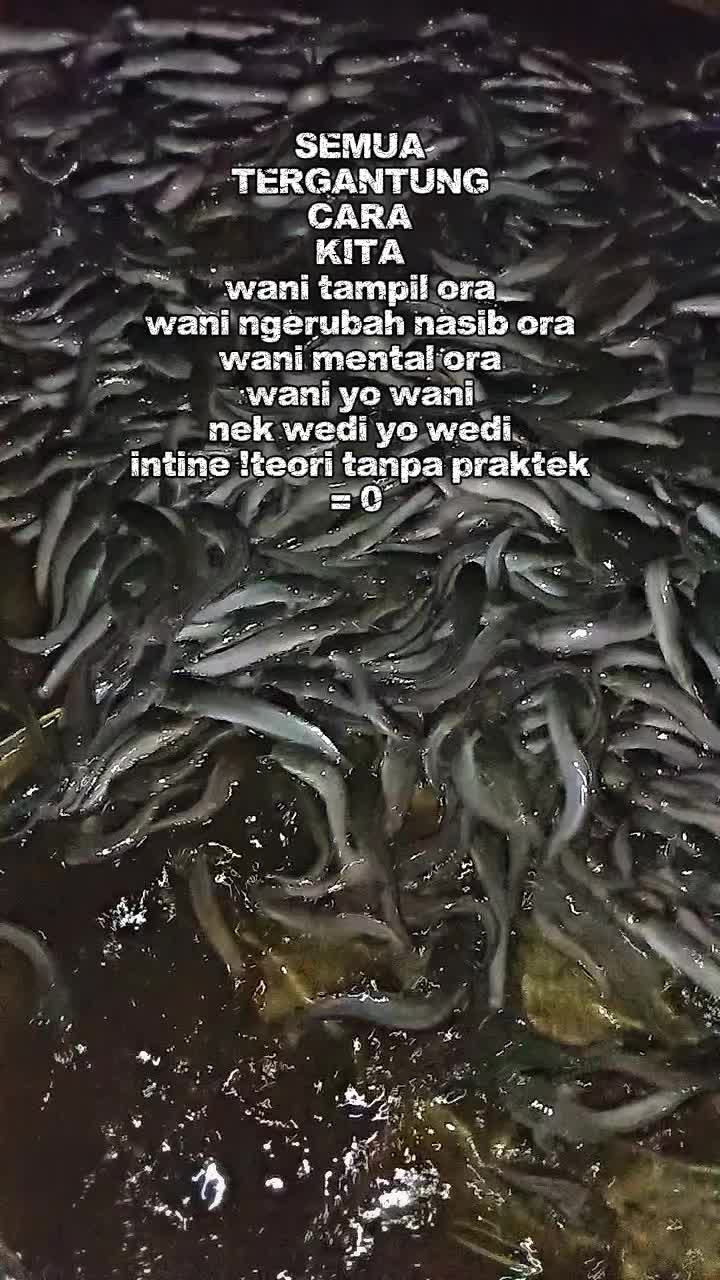 @All in 🔥