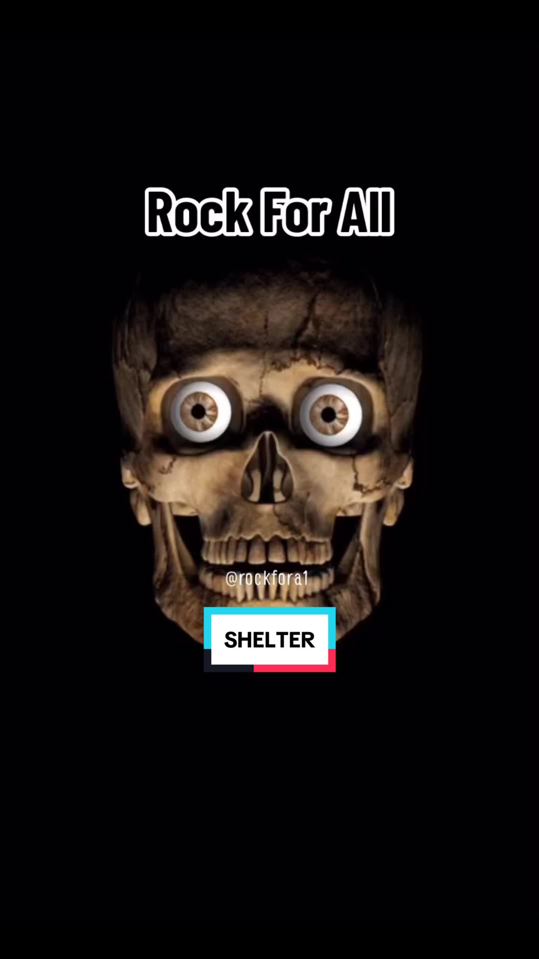 @๐ค๐ผ๐๐คRock For All๐ค๐๐ค๐ผ