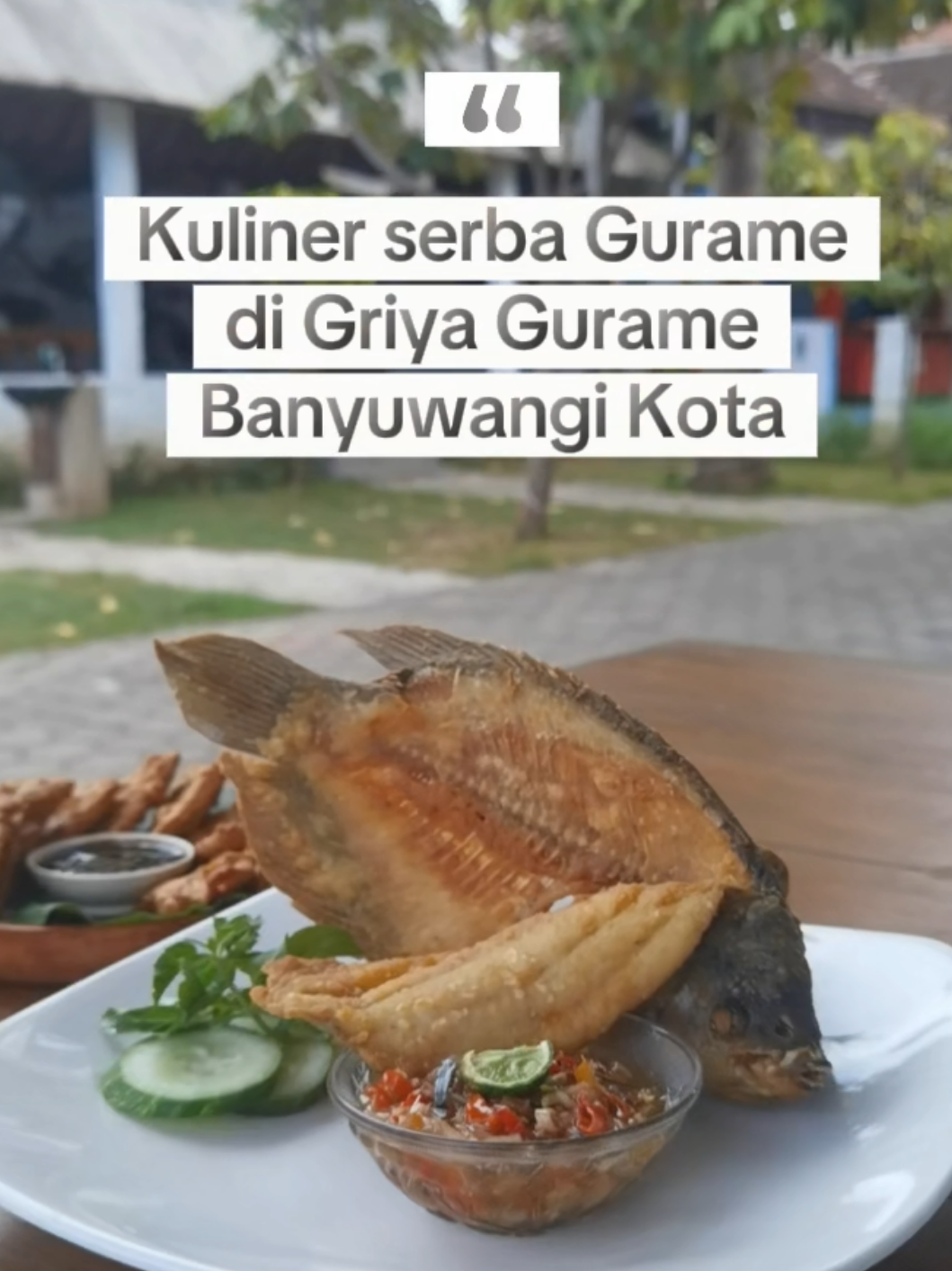 @Pinarak lur