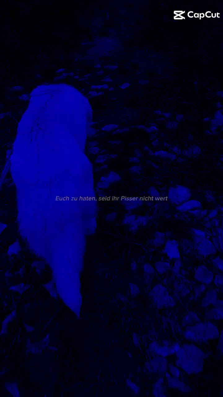 @~&deg;☽︎𝕃𝕖𝕥𝕚𝕫𝕚𝕒☾︎&deg;~