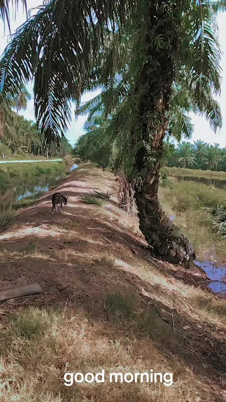 @murugan 86