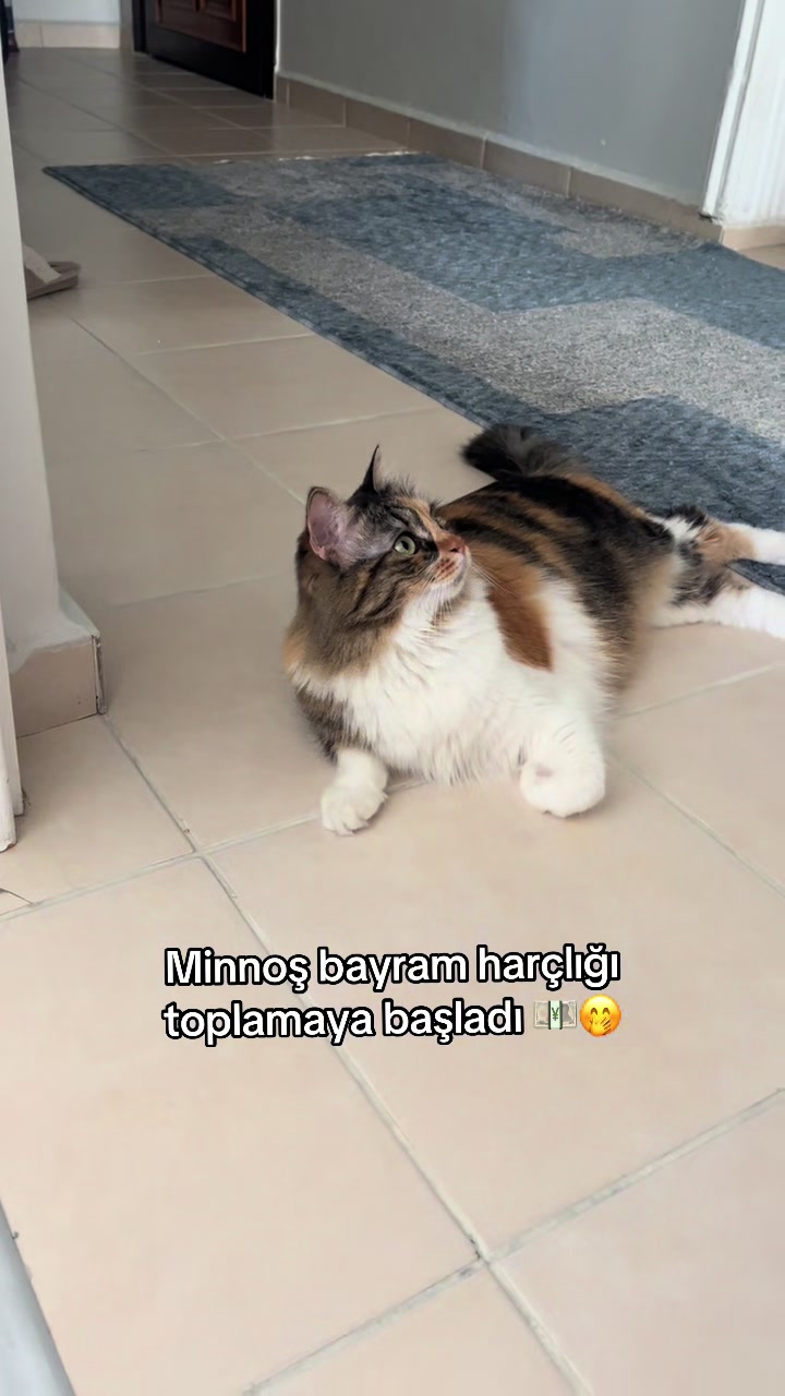 @konusankediminnos