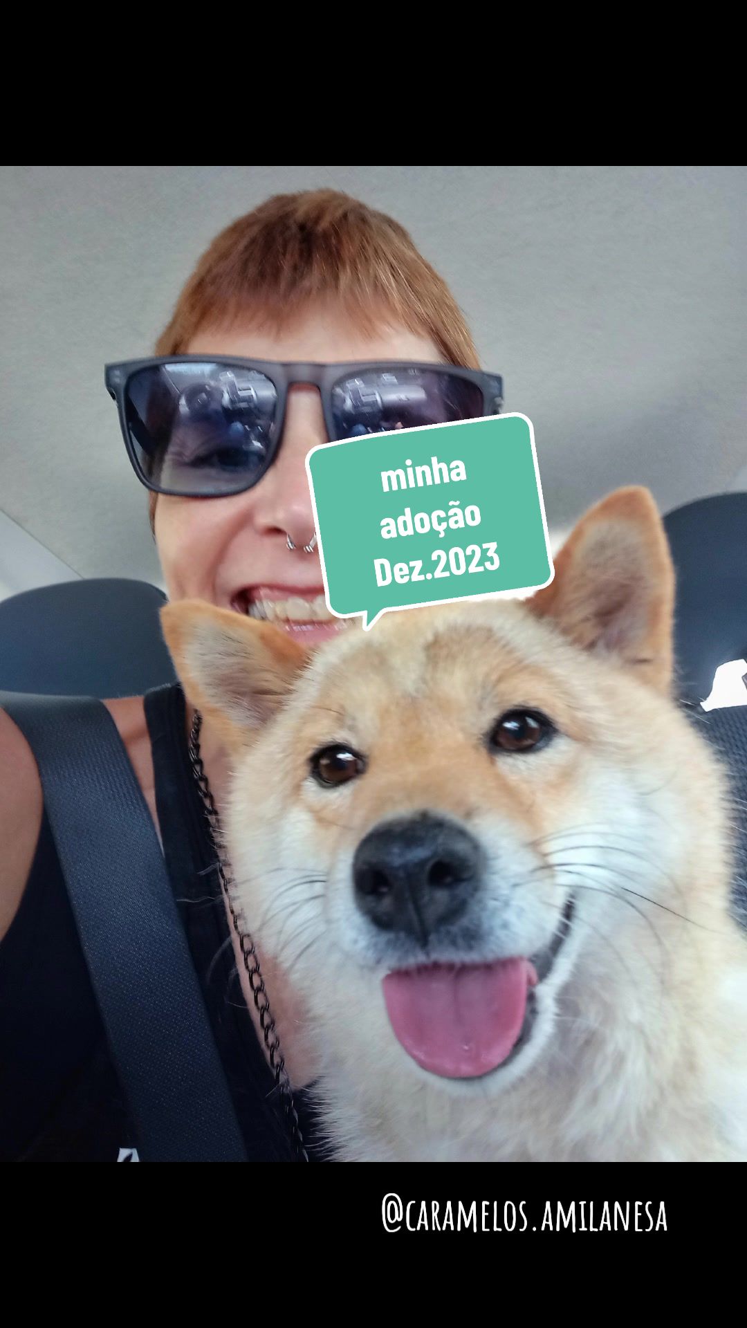 @Cosmos🐕 Maui🐶  Aurora🦊