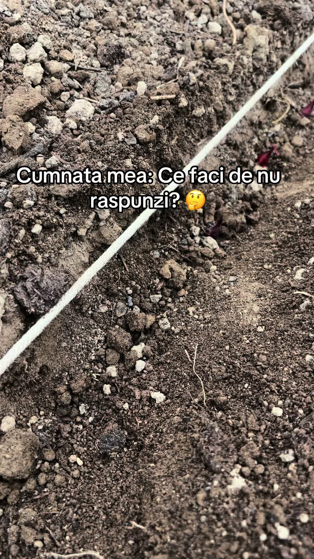 @Octavia Todor