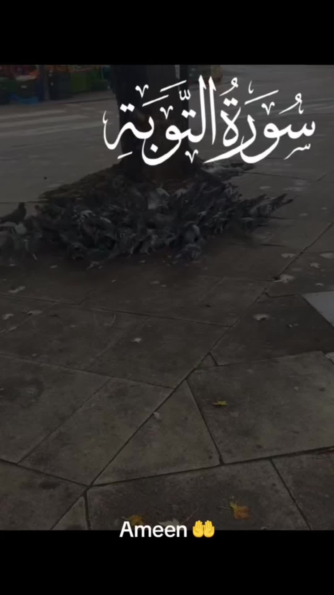 @❤️