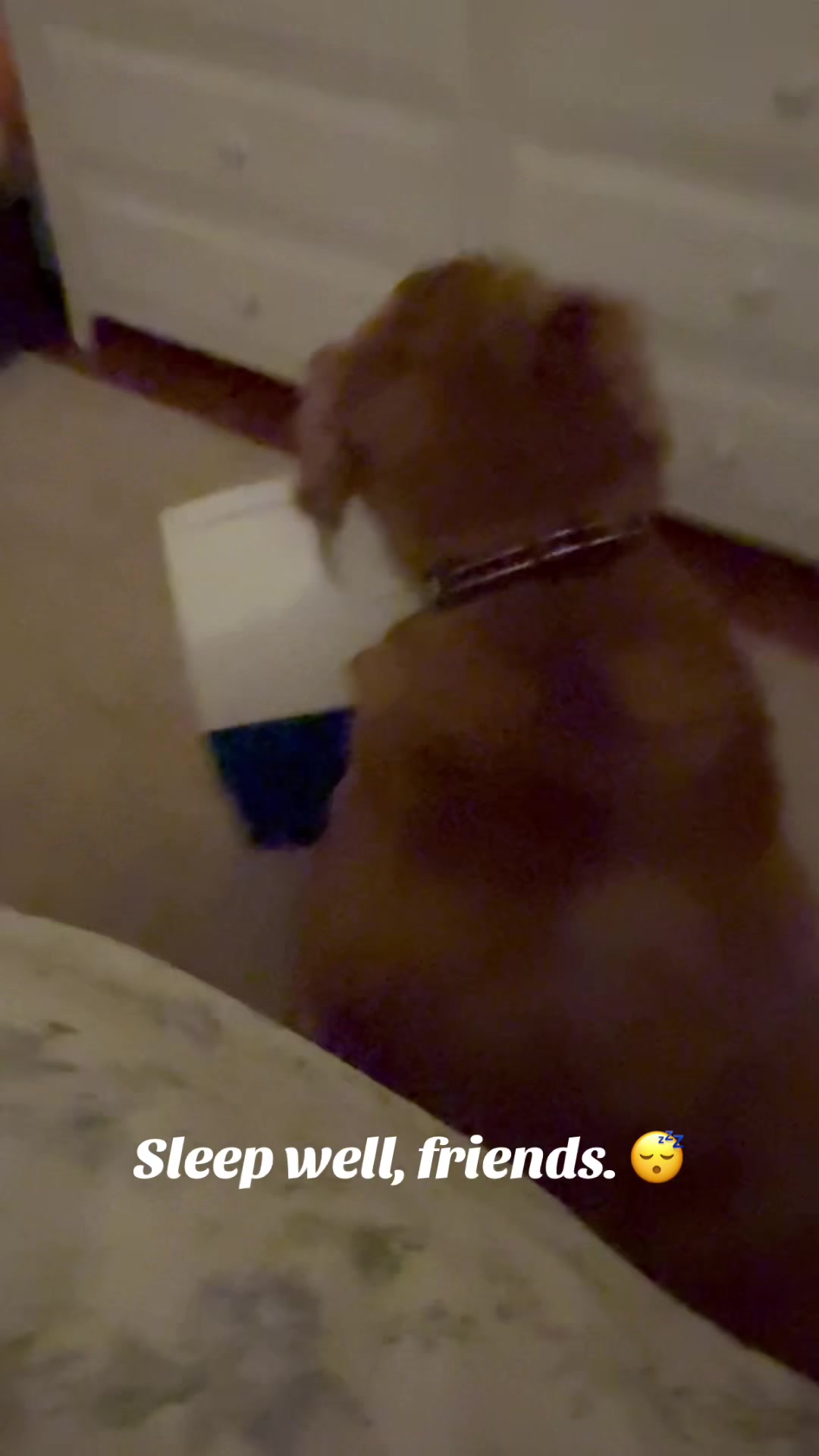 @lifewithduke2025