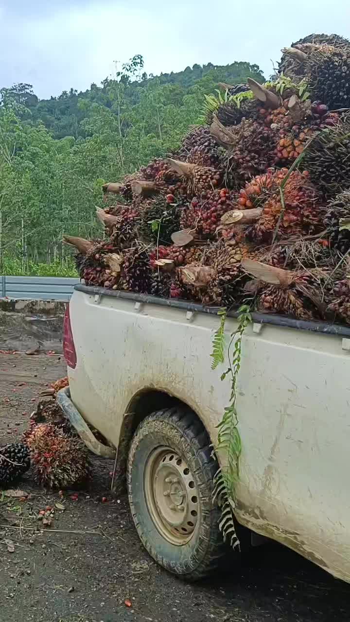 @RoHaIzAd_Rahim🇲🇾🇲🇾