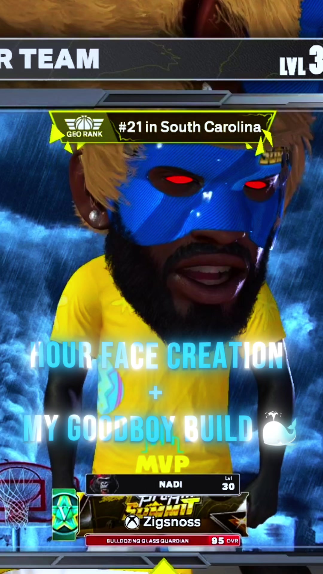 @zigsnoss
