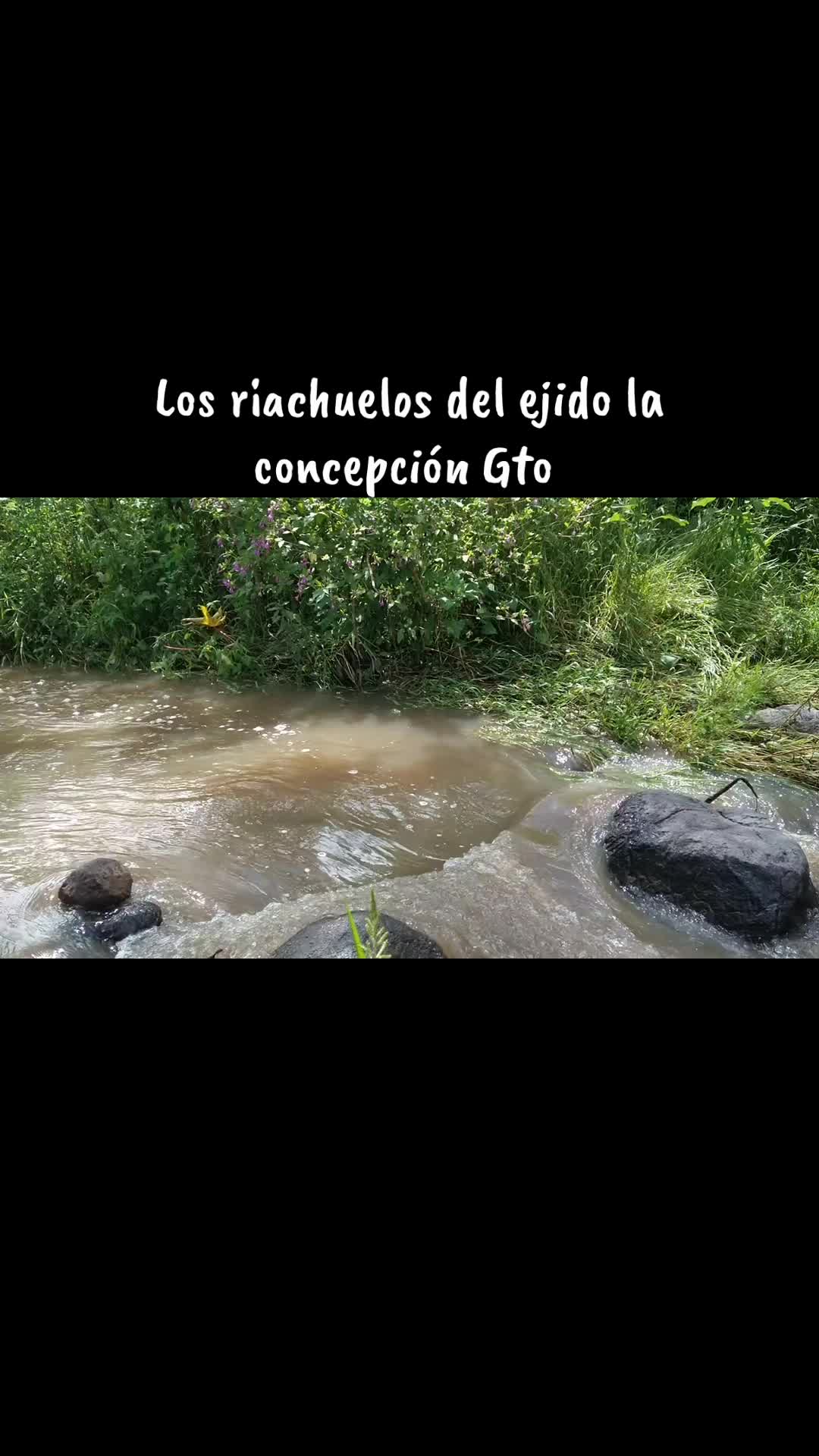 @Antony Saavedra