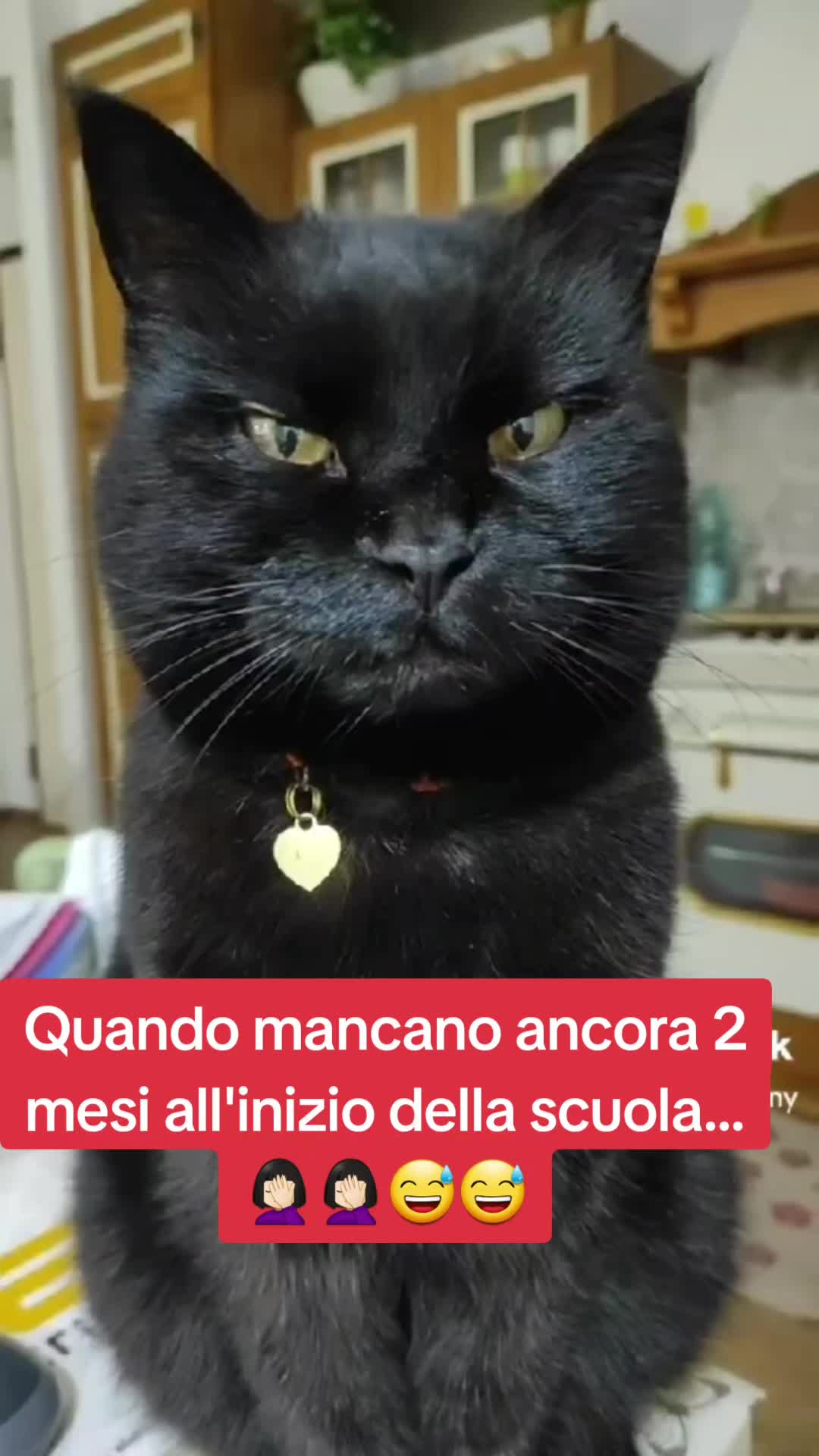 @Rita Tartaria