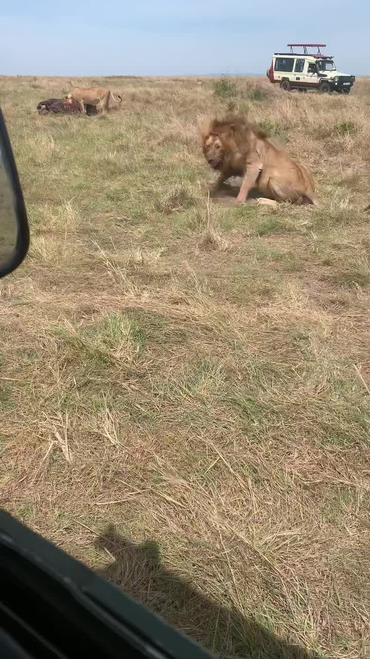 @Zangada Africa