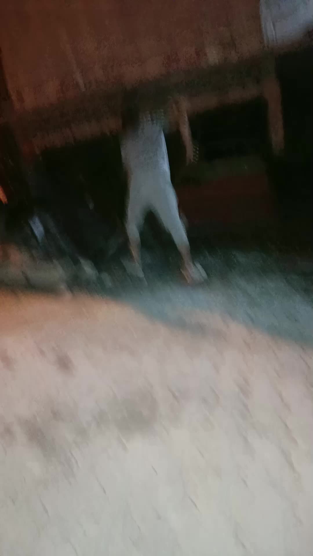 @Semih Garip2525