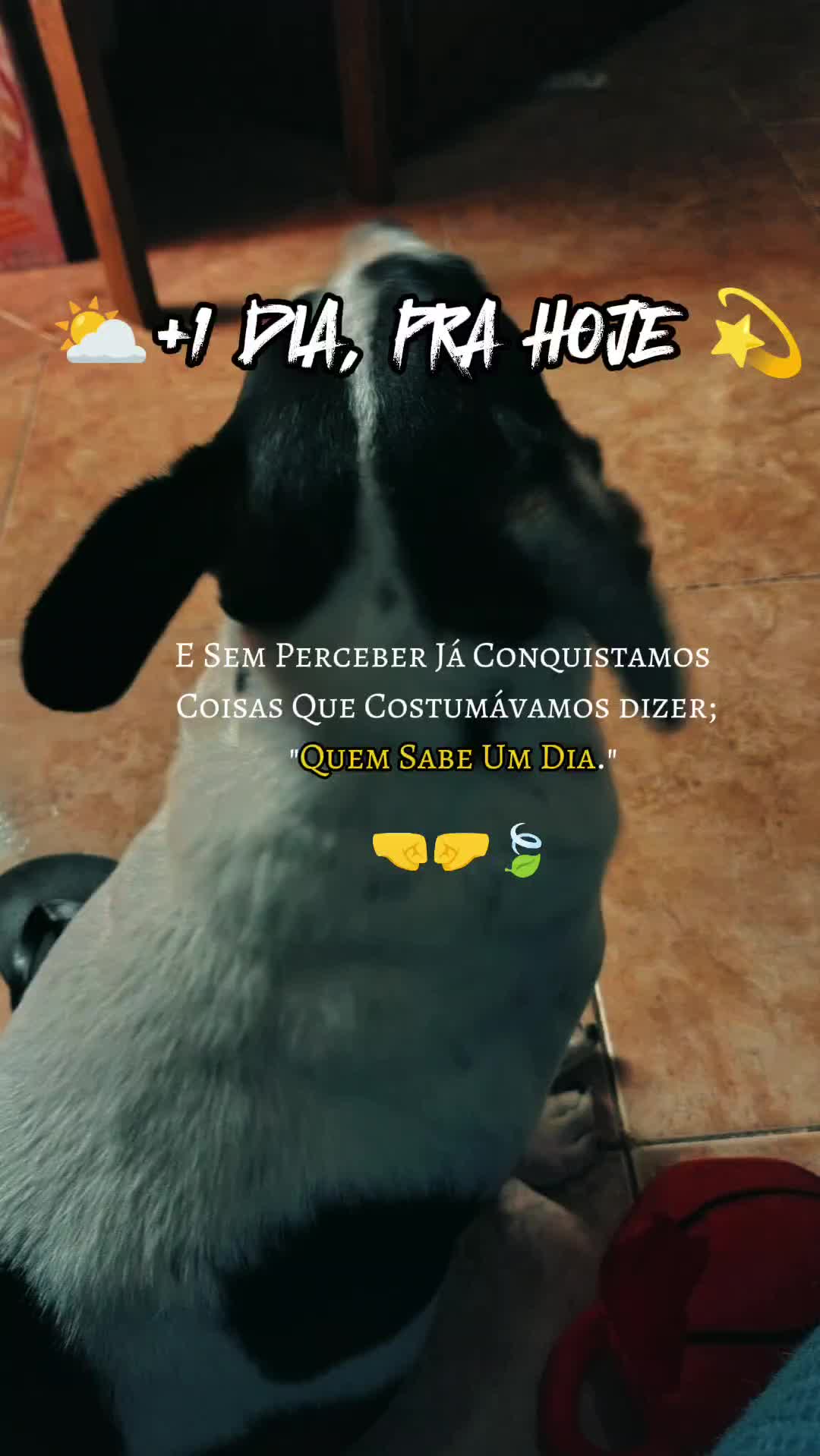@Maria Da Silva Mota