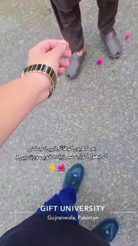@Tiger🐅🐺