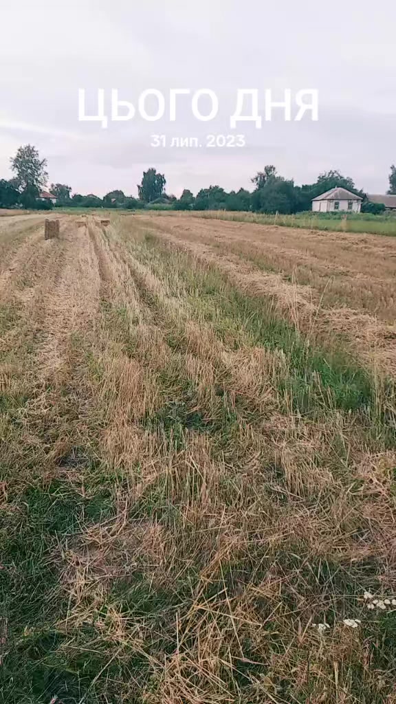 @olegtruten