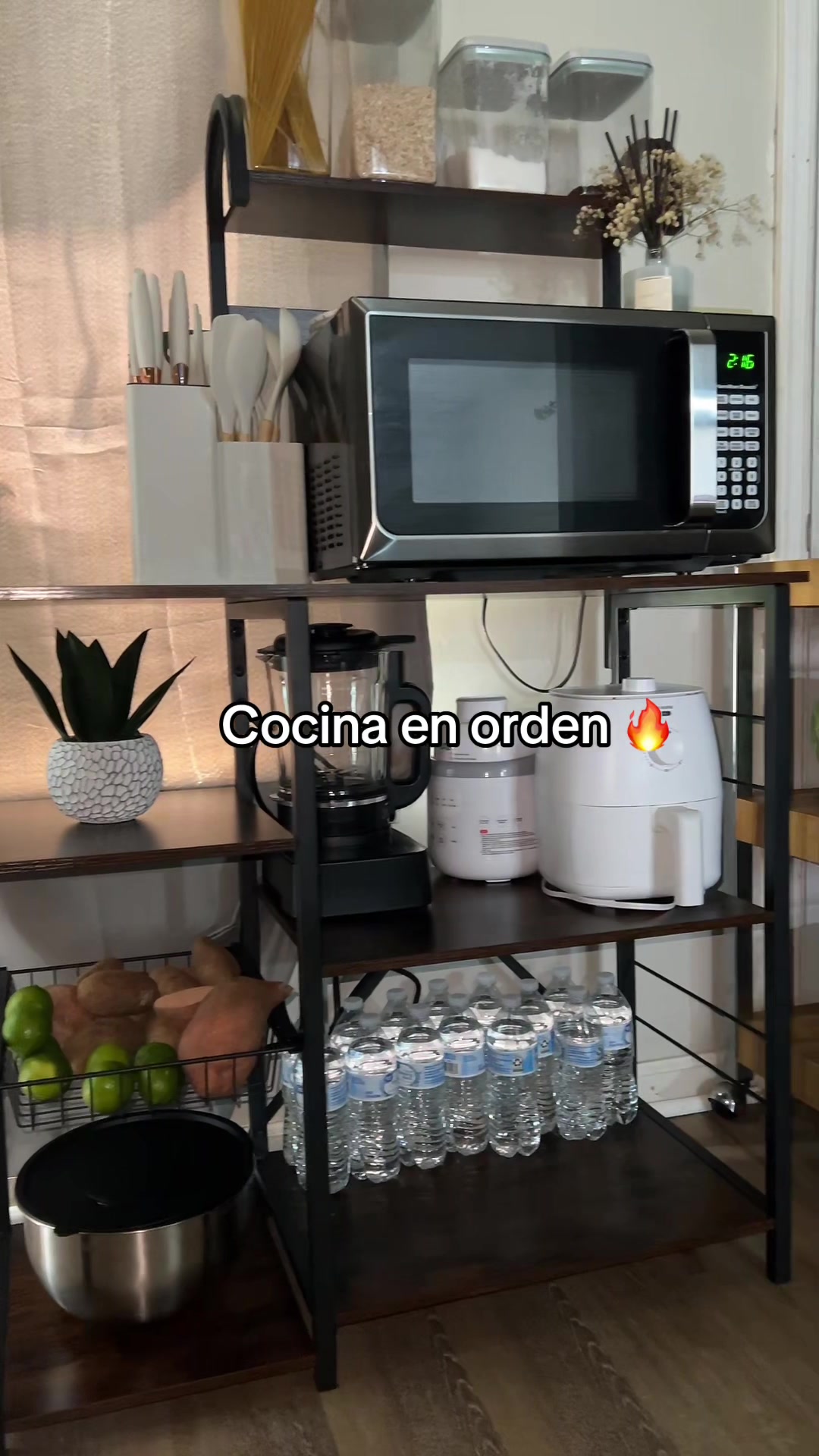 @Reina