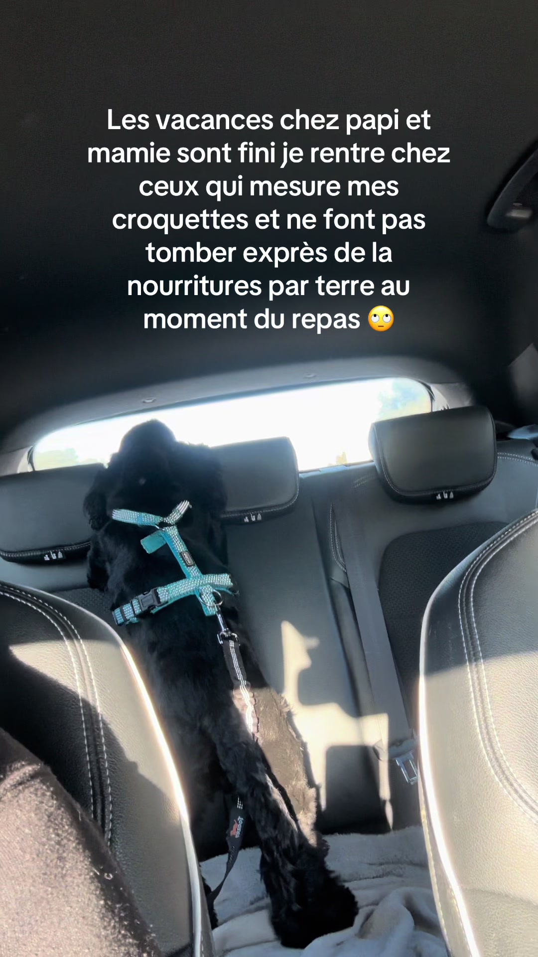 @Ornella🖤