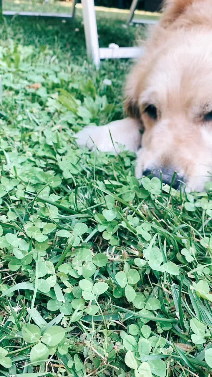 @🐶PENNY🐶