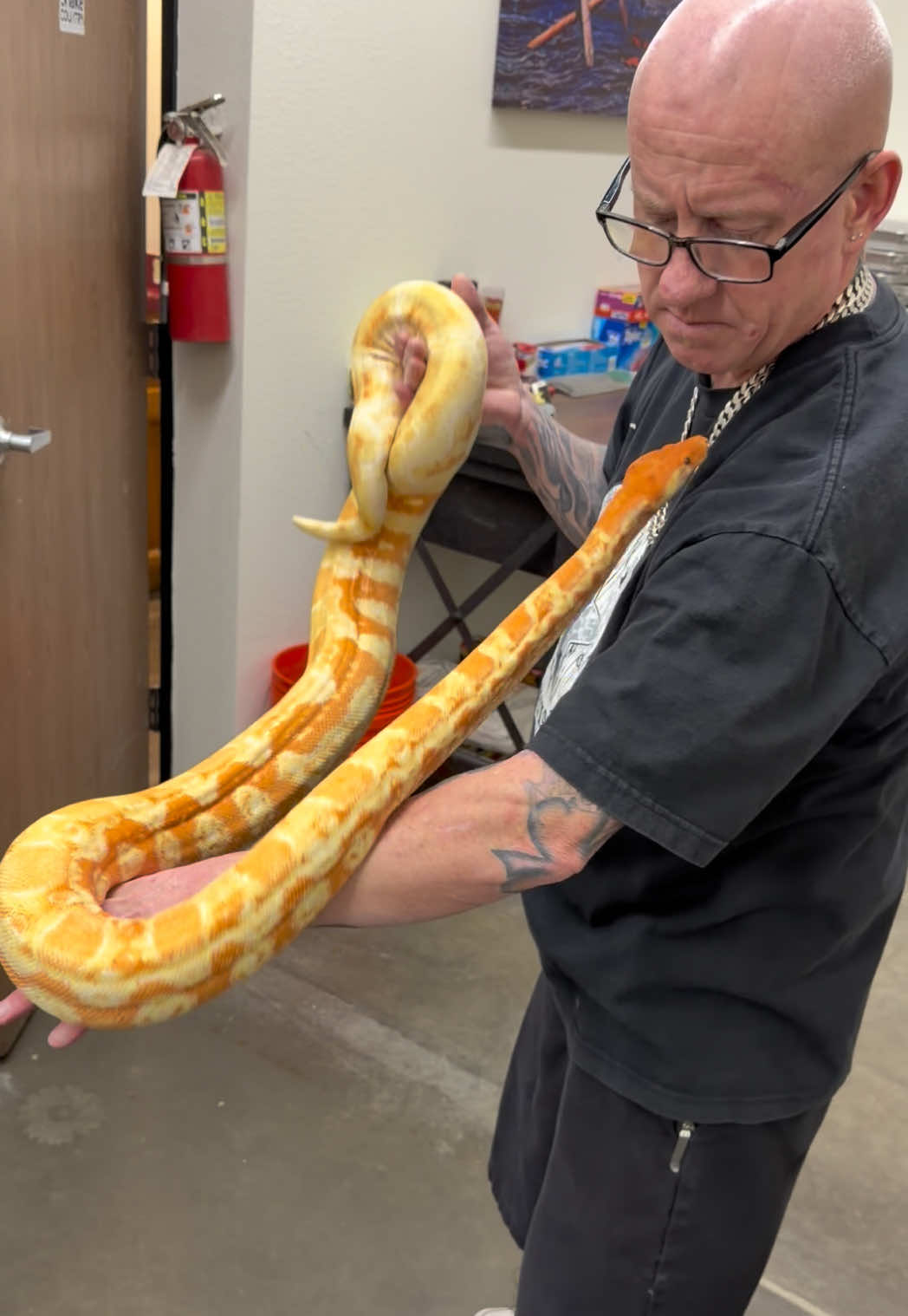 @Snake Country