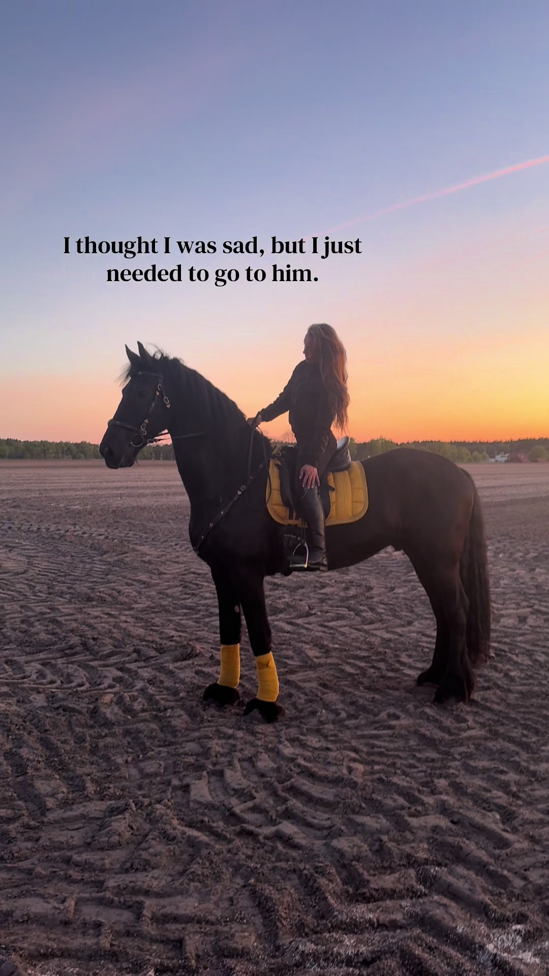 @Horses