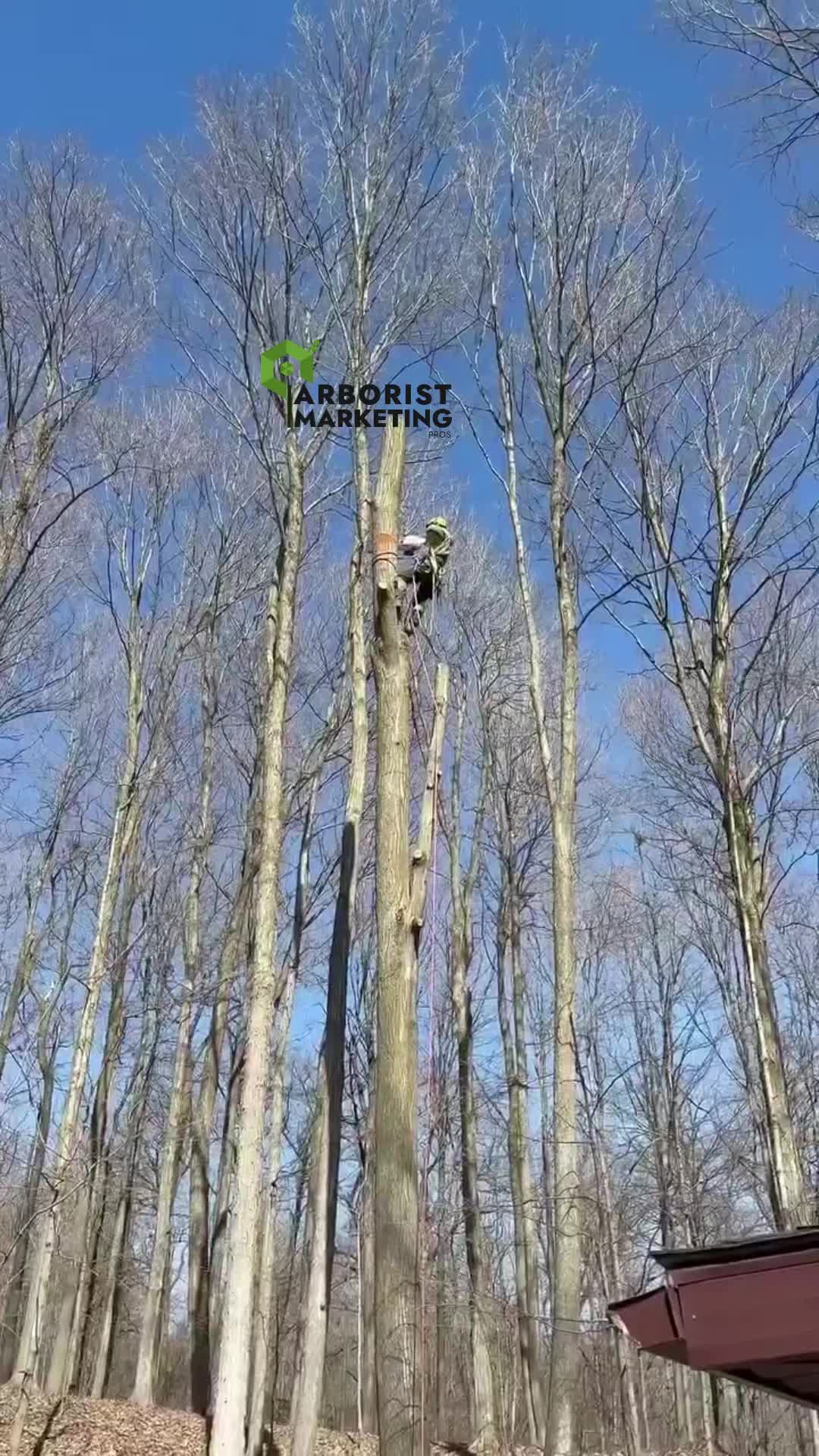@Arborist Marketing Pros