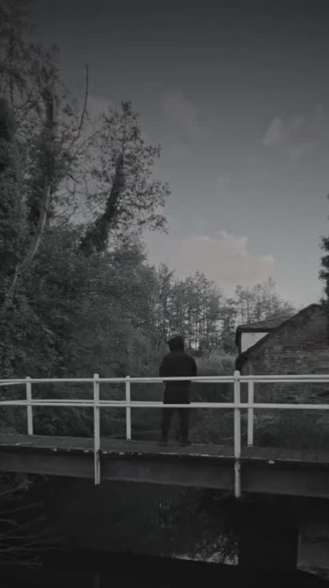 @micci