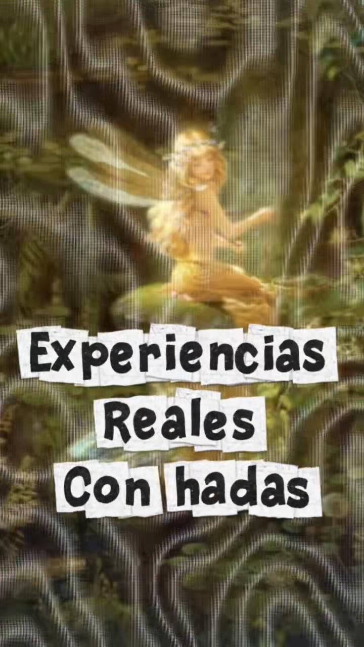 @El Club de la Medianoche