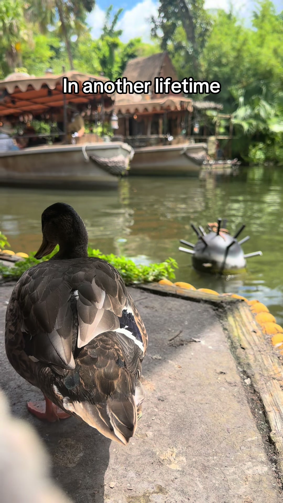 @Kat